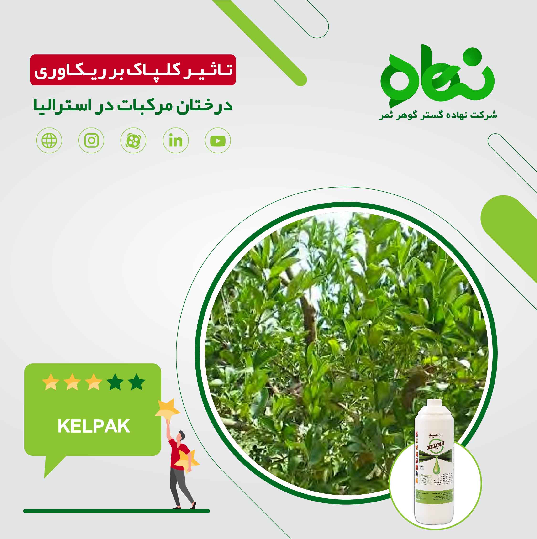  تاثیر کلپاک بر ریکاوری درختان مرکبات در استرالیا